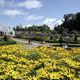 Horticulture Celebrates the Greenmount Centenary
